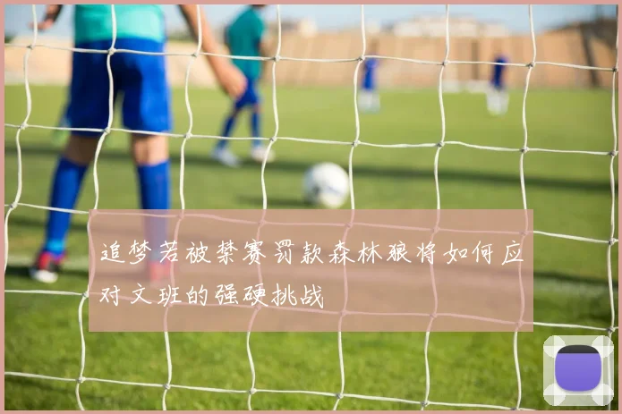 追梦若被禁赛罚款森林狼将如何应对文班的强硬挑战